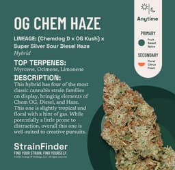 OG Chem Haze | Flower | 14g