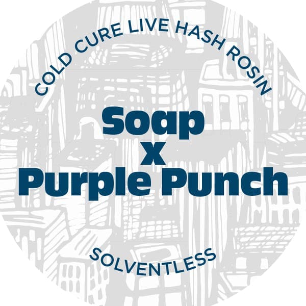 Soap x Purple Punch Live Rosin Concentrate 1g - Nyce