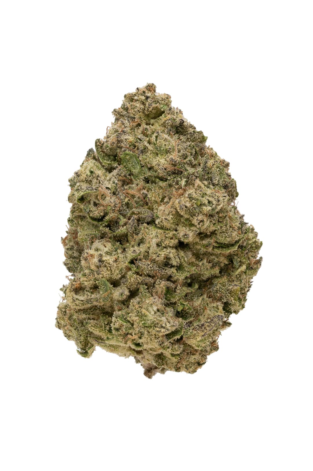 Biscotti • Flower • 3.5g - Rolling Green | Treehouse Cannabis