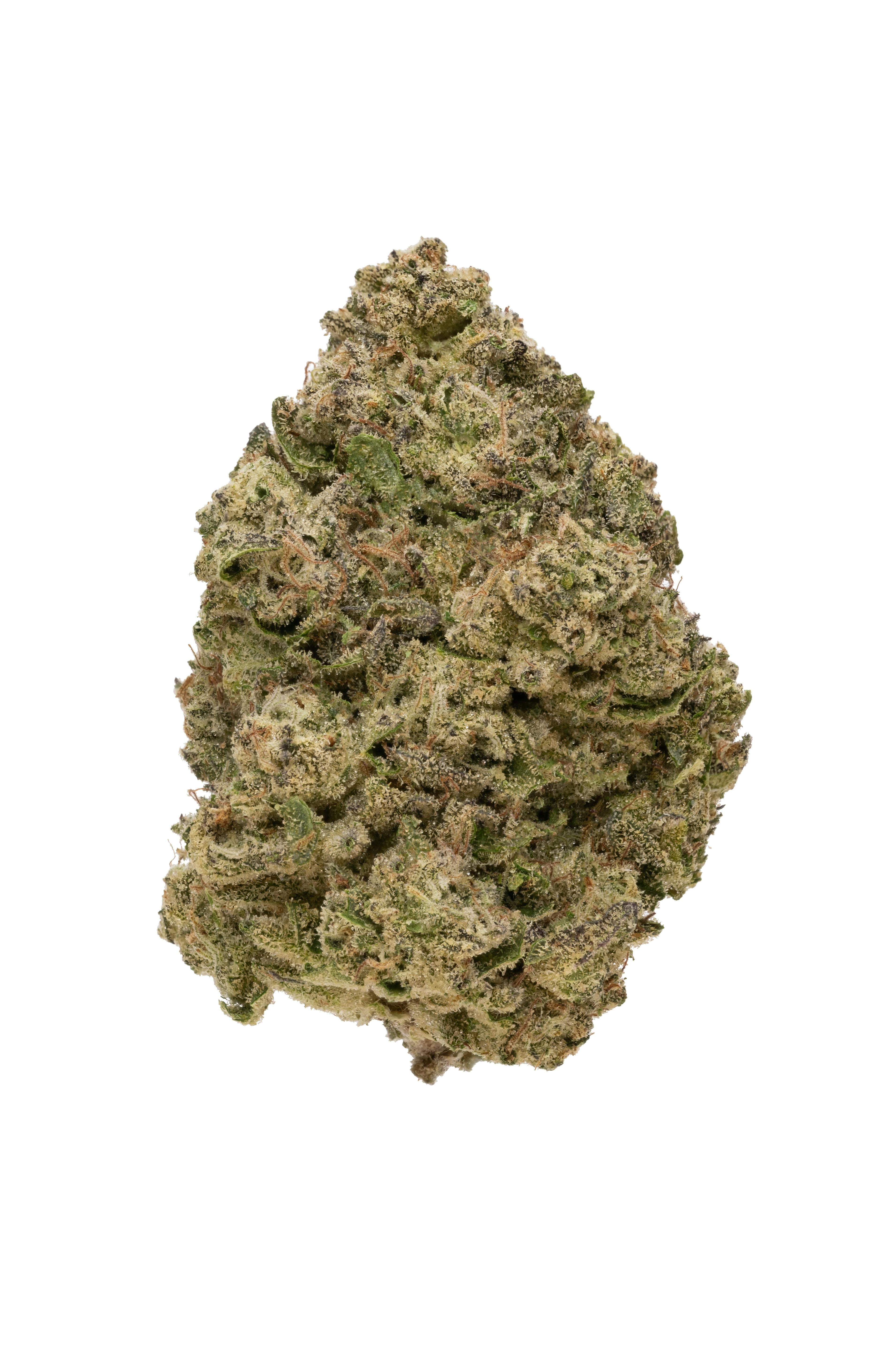 Biscotti Flower 3.5g - Rolling Green