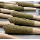 Blue Dream | Infused Pre- Roll | 1g
