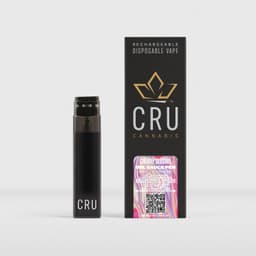 Cherry Slushie • Disposable • 1ml
