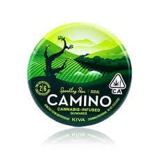 Sparkling Pear Gummies 20 pack • 100 mg - Camino | Treehouse Cannabis