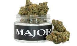 41st Side | Flower | 3.5g