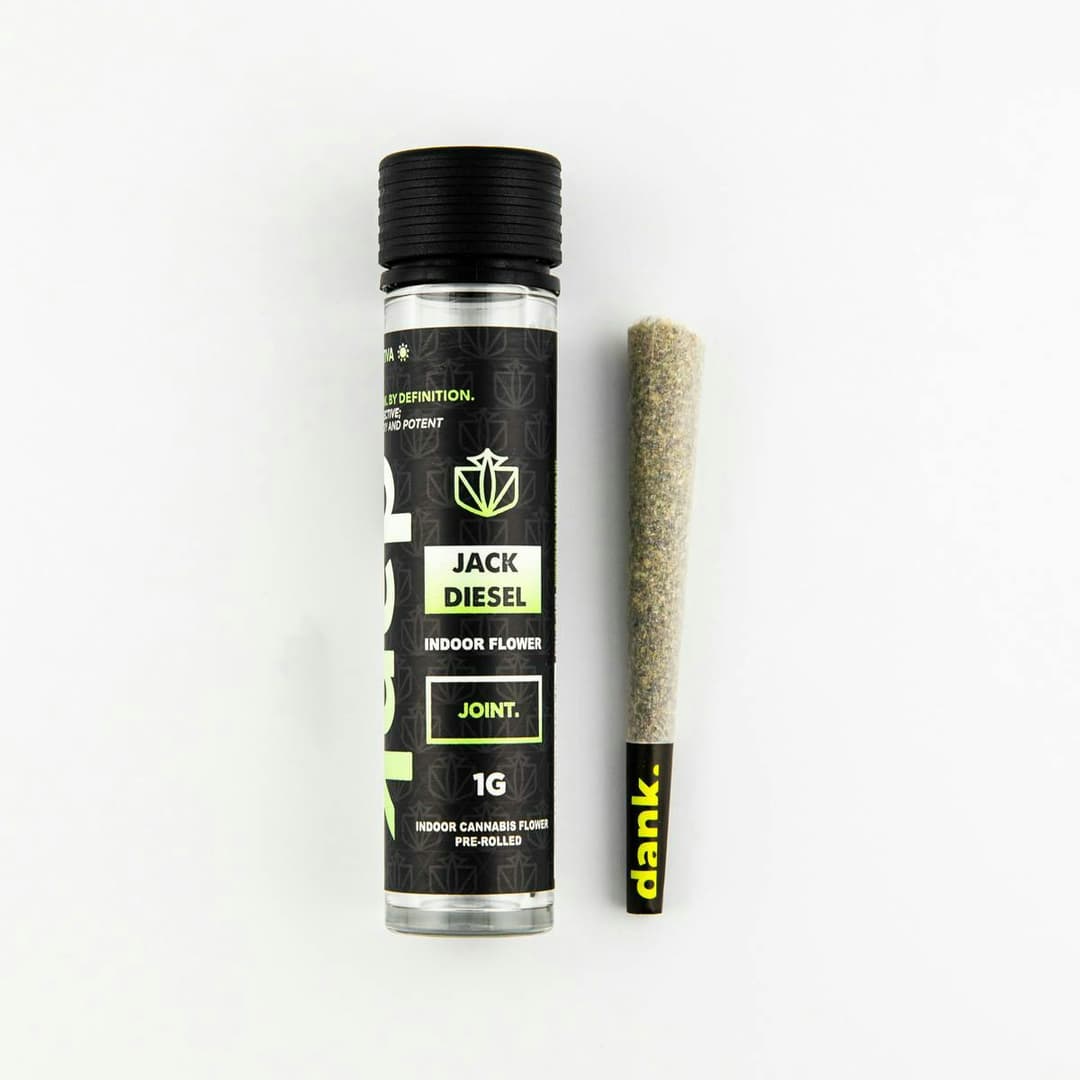 JACK DIESEL 1G JOINT - Dank By Definition. | Treehouse Cannabis