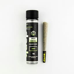 JACK DIESEL 1G JOINT