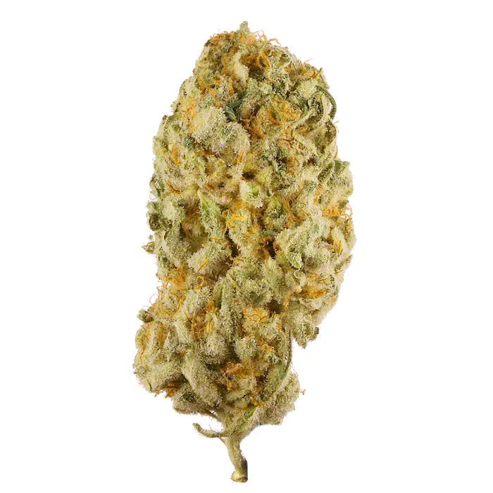 Jack Diesel • Dank • Flower -  | Treehouse Cannabis