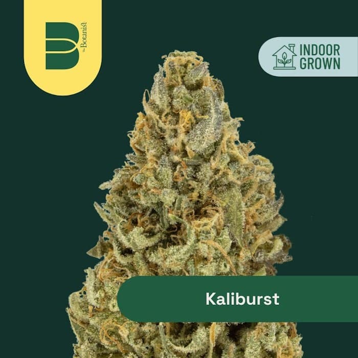 product image for Kaliburst Flower 14g