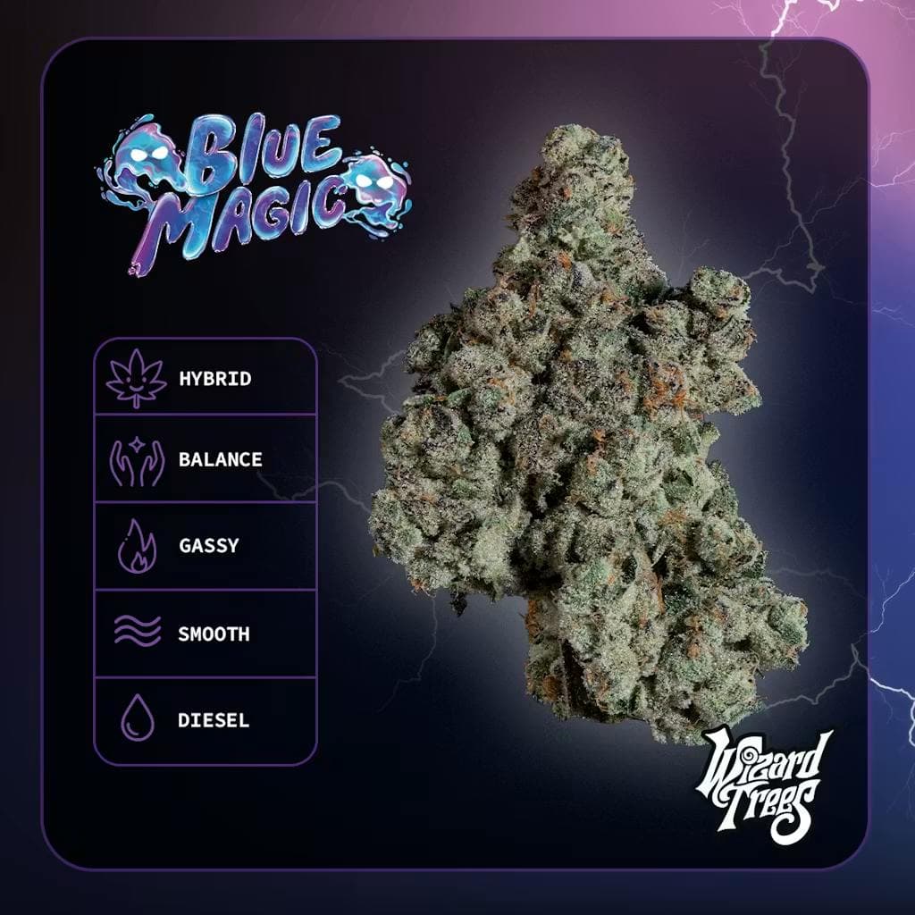 Blue Magic • Flower • 3.5g - Wizard Trees | Treehouse Cannabis