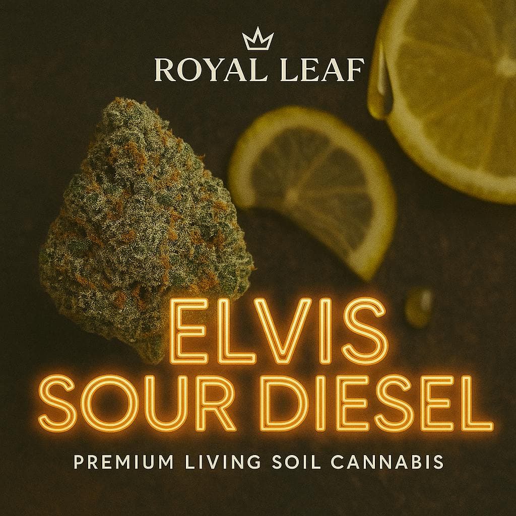 product image for Elvis Sour Diesel Flower 3.5g