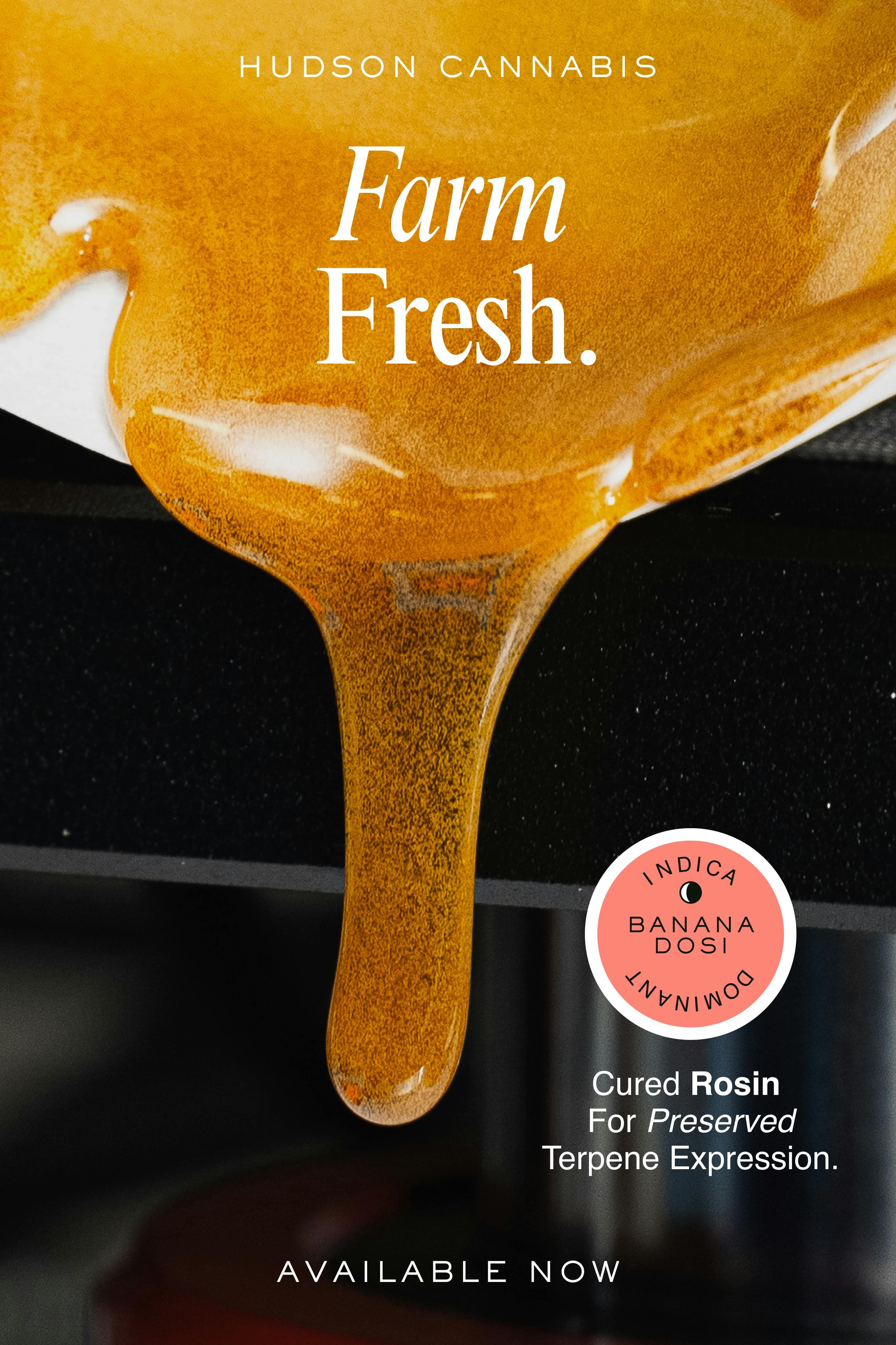 Banana Dosi Solventless Cold-Cure Rosin 1g - Hudson Cannabis