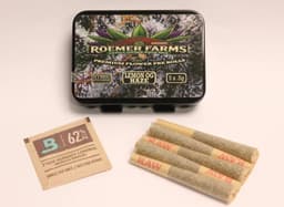 Lemon OG Haze | 5pk Pre-rolls | 2.5g