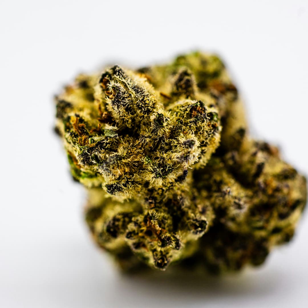GORILLA COOKIES (3.5G BAG) - Dank By Definition. | Treehouse Cannabis