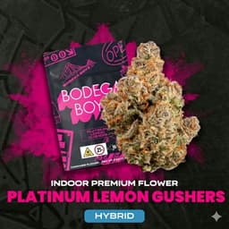 Platinum Lemon Gushers | Flower | 3.5g