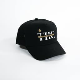 Treehouse Snapback Hat