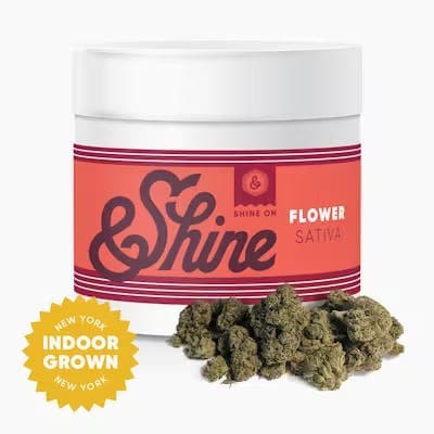 Jah'Spresso (Jack Herer) • Flower • 3.5g - &Shine | Treehouse Cannabis