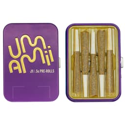 Now & Laterz | Hash-Infused Pre-Roll 5pk | 2.5g
