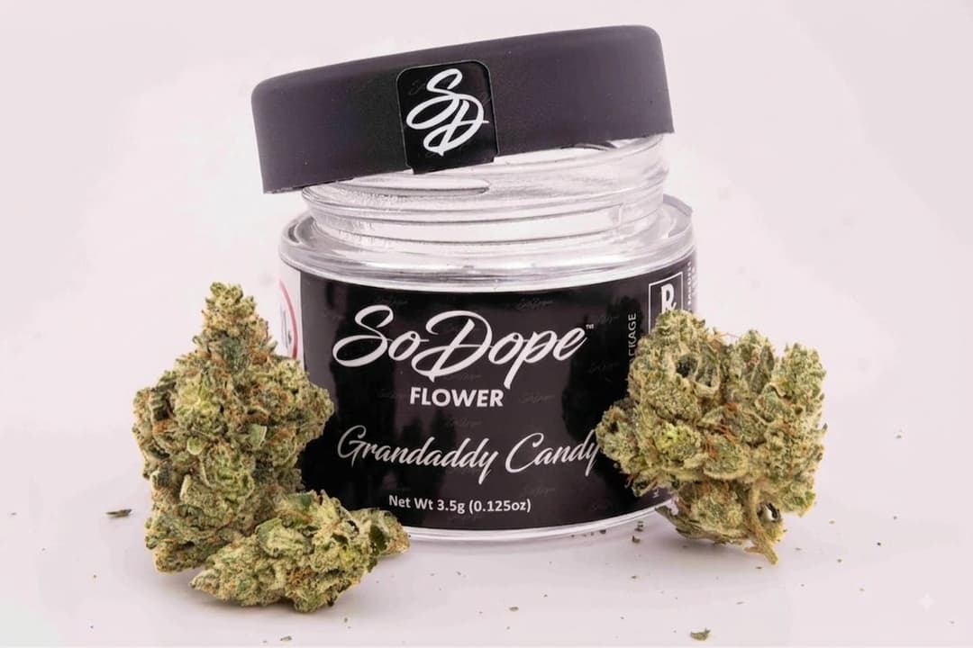 Grandaddy Candy • Flower • 3.5G - So Dope | Treehouse Cannabis