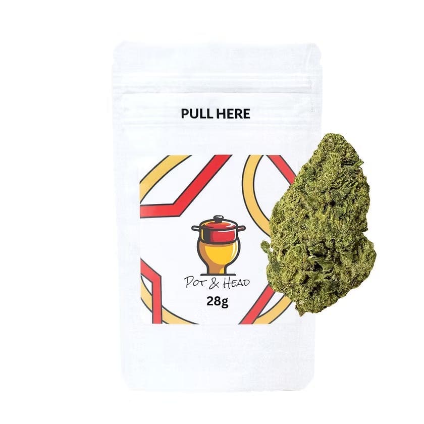 product image for Lemon Cherry Gelato Flower 28g