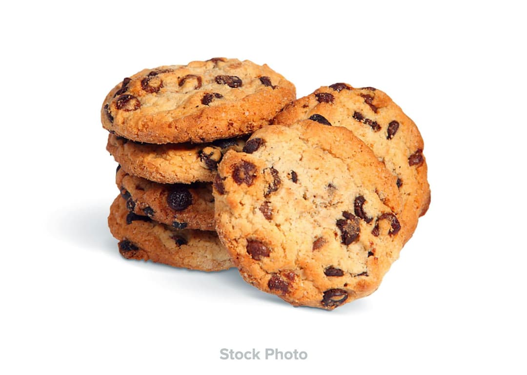 Cookies N Cream Bar • Chocolate • 100mg - Punch Bar | Treehouse Cannabis