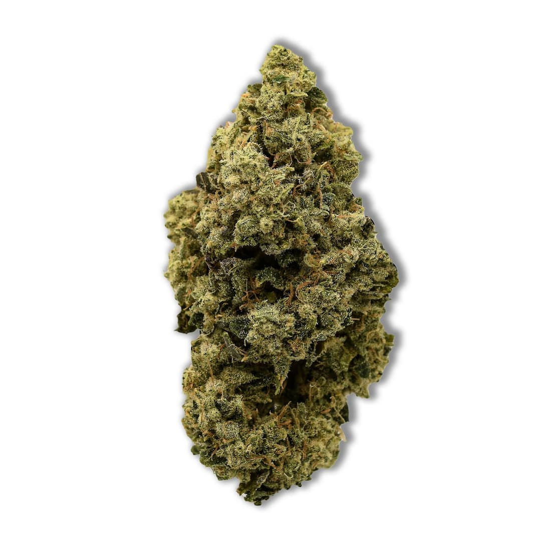 Chocolate Thai • Flower • 3.5g -  | Treehouse Cannabis