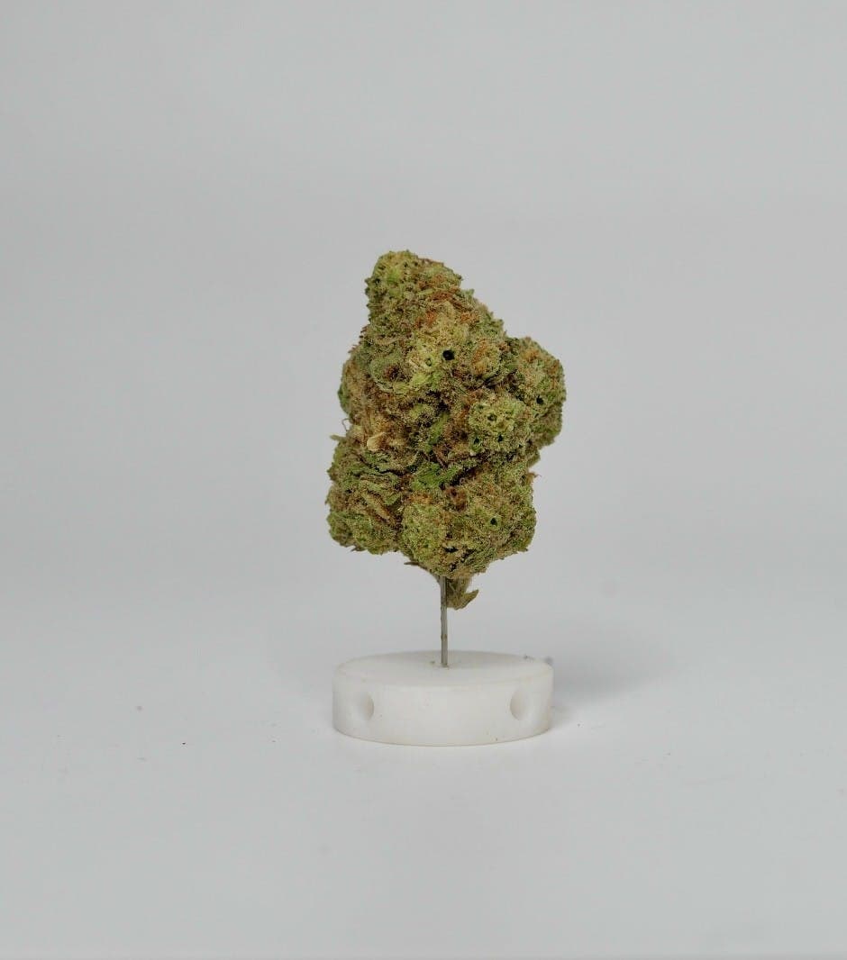 Blue Dream • Flower • 28g - Grocery Cannabis | Treehouse Cannabis