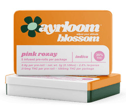 Pink Rozay | Infused 5 Pack Pre-Rolls | 3G