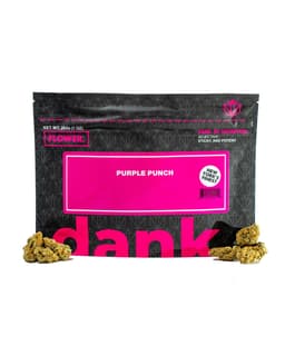 Purple Punch • Flower • 28g