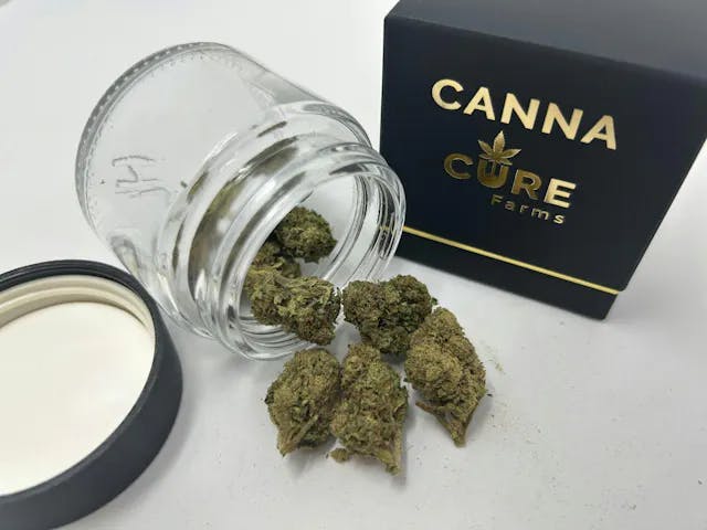 OG Kush • 3.5g - CANNA-CURE | Treehouse Cannabis - Weed delivery for New York