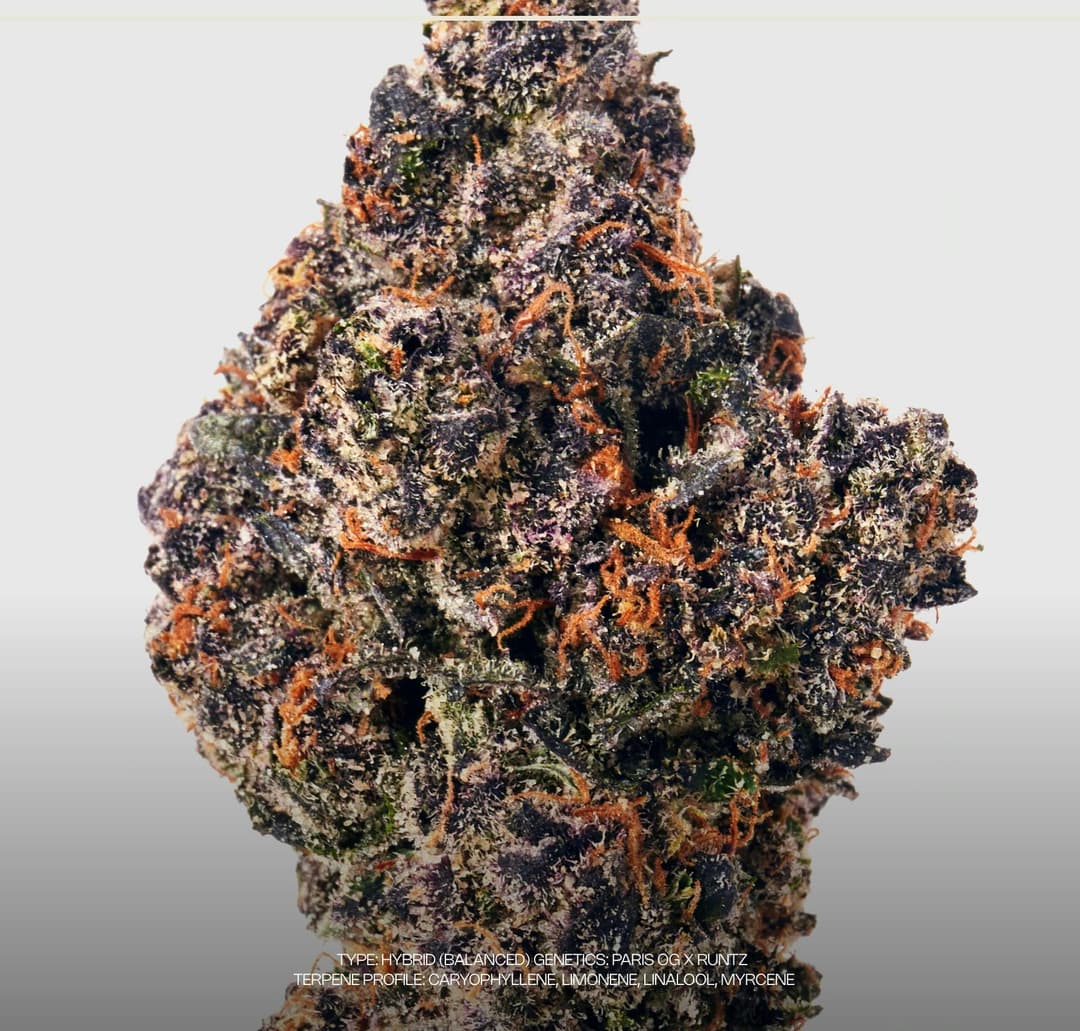 Rolex Runtz • Flower • 3.5g - Dada - Exotic Cannabis Flower | Treehouse Cannabis