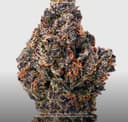 Rolex Runtz | Flower | 3.5g