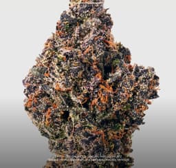Rolex Runtz | Flower | 3.5g