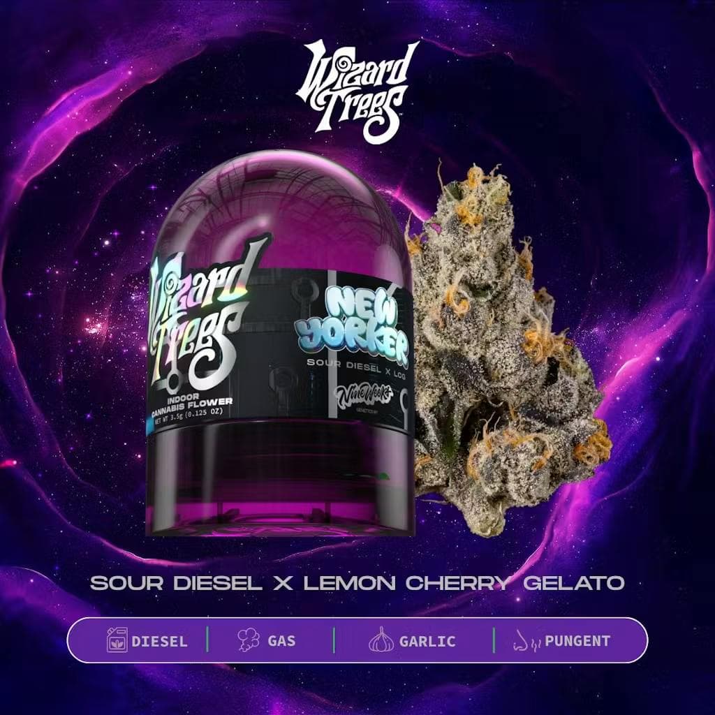 New Yorker • Flower • 3.5g - Wizard Trees | Treehouse Cannabis
