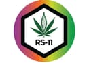 RS-11 | Flower | 3.5g