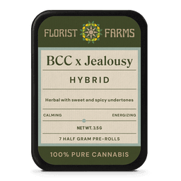 Banana Cream x Jealousy • 7 Pack Pre-Rolls • 3.5g