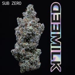 Sub Zero | Flower | 3.5g