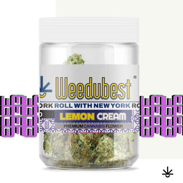 Lemon Cream • Flower • 28g - Weedubest | Treehouse Cannabis