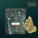 Datura | Flower | 14g