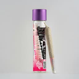 Cherry Vortex Bigger Bang • Infused Pre-Roll • 1g