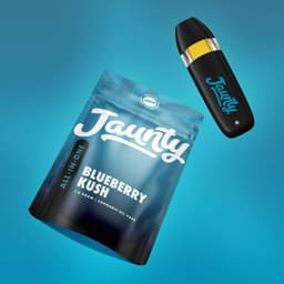 Blueberry Kush • All In One Disposable Vape • 1g