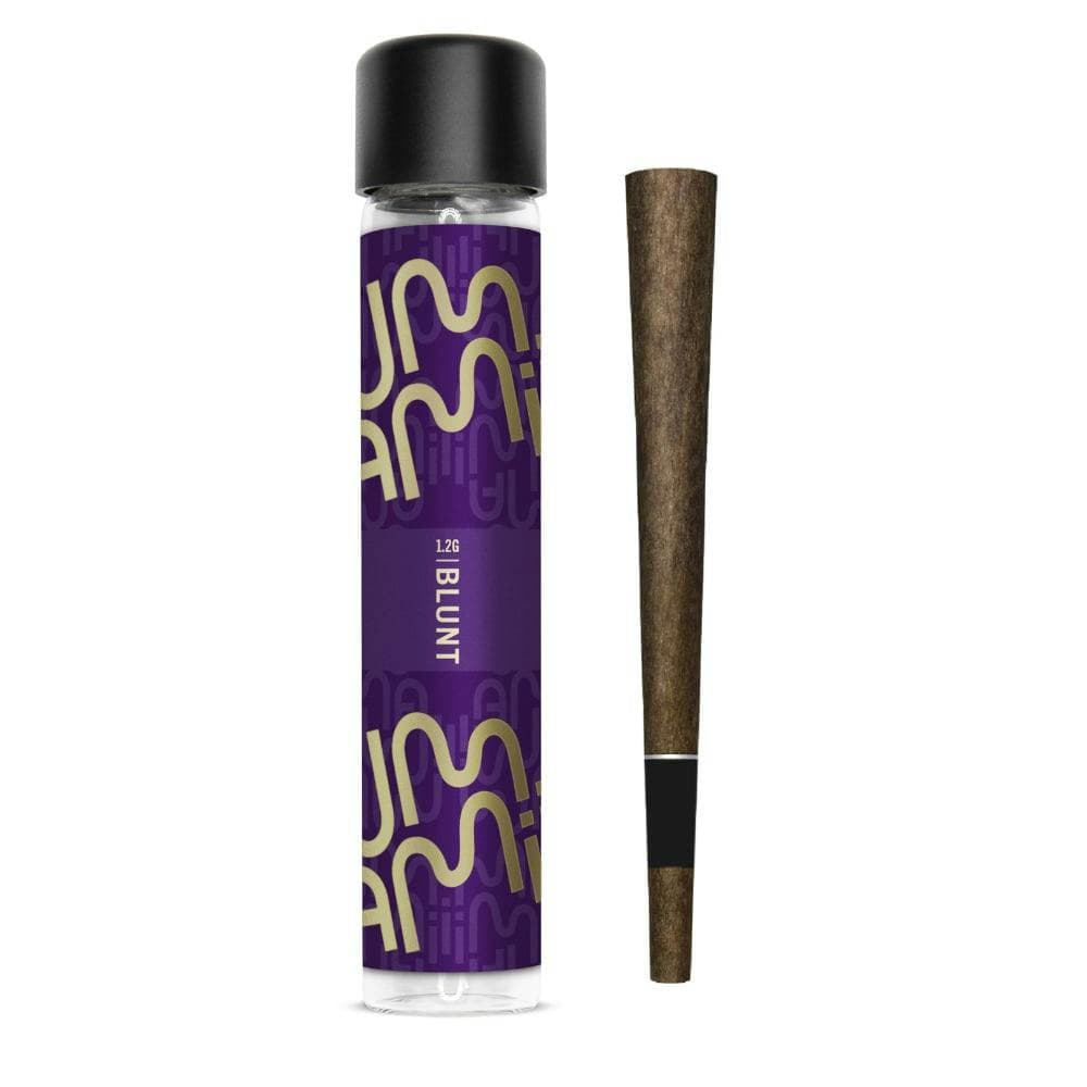 product image for Black Maple Blunt 1.2g