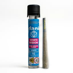 White Widow • Pre Roll • 1g