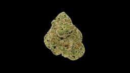 Mimosa Kush Mint | Flower | 3.5g