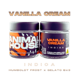 Vanilla Cream  Flower | 3.5g