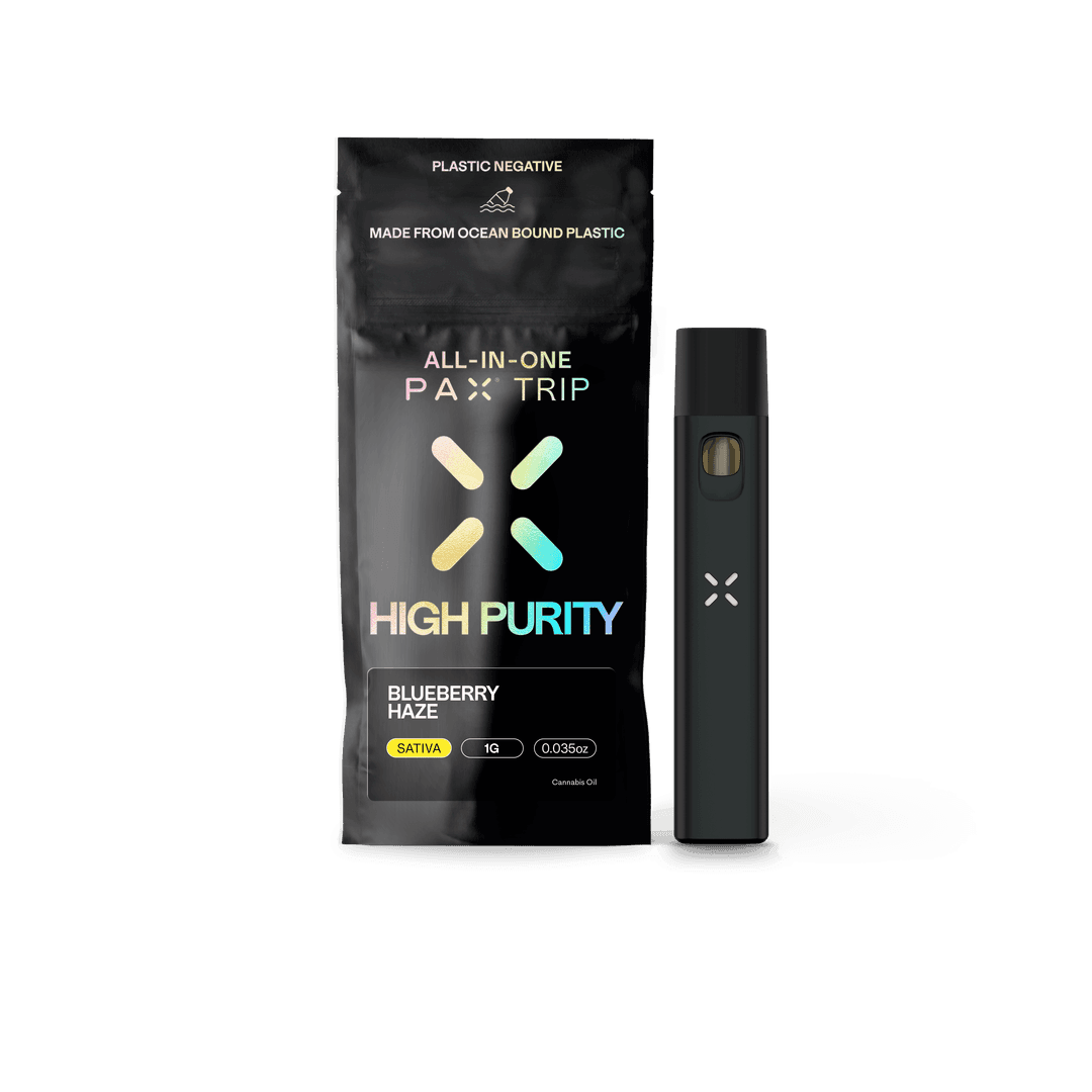 Blueberry Haze • High Purity AIO Disposable • 1g - PAX | Treehouse Cannabis