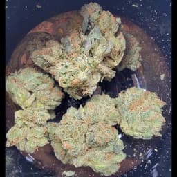 Sour OG | Dub Bag | 2 grams