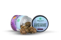 East Coast Sour Diesel - Premium - 3.5g