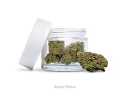 Candyland | Small Buds | 28g