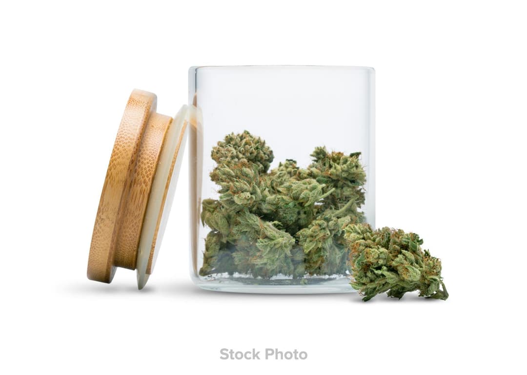 Singapore Sling Flower • -  | Treehouse Cannabis