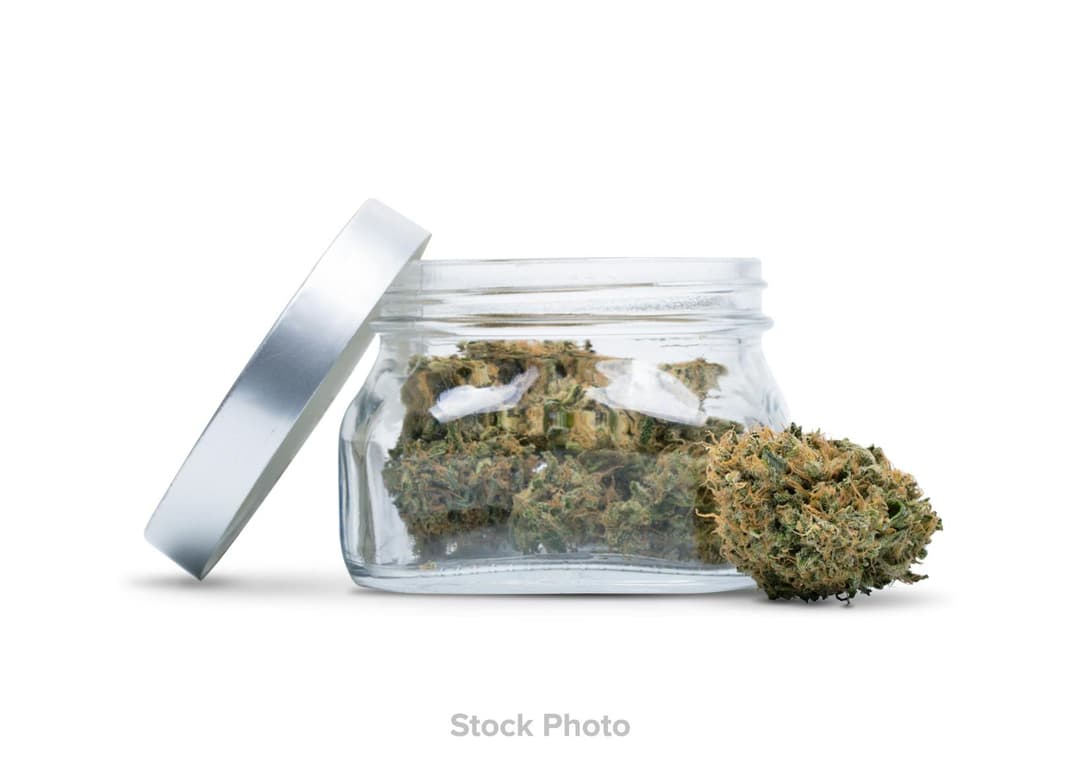 Pina Colada • Moonrocks -  | Treehouse Cannabis